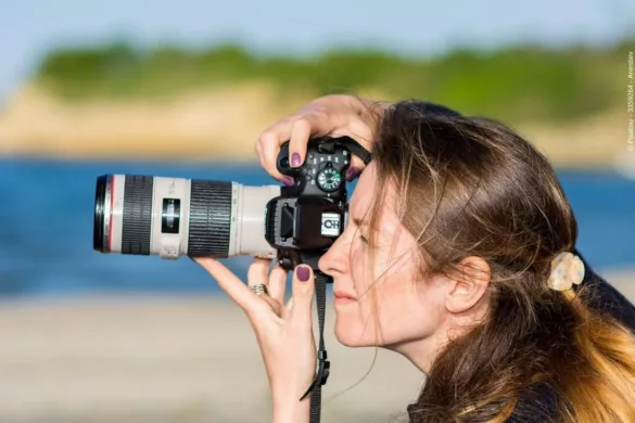 In diesem Beitrag erhalten Sie sehr detaillierte Informationen darüber was Sie Mentoring für Fotografen wissen wollten